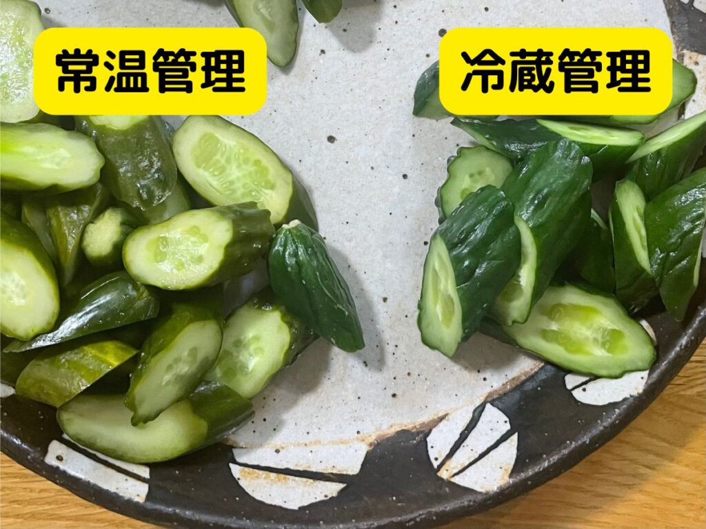 常温管理と冷蔵管理のぬか床で漬けたきゅうりの比較
