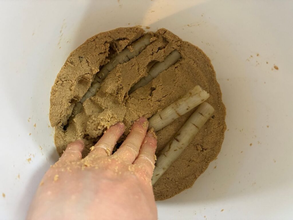 ぬか床に入れているごぼう