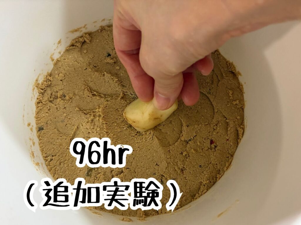 新生姜96hrの試料をぬか床に入れているところ