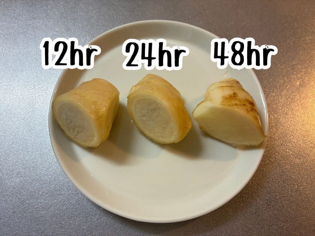 新生姜比較用3試料がお皿に乗っているところ